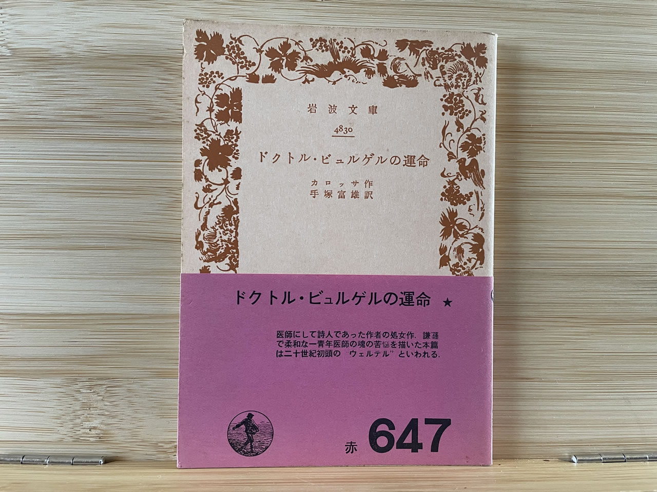 カロッサ『ドクトル・ビュルゲルの運命』