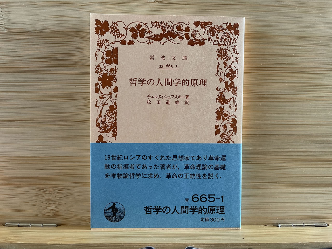 チェルヌィシェフスキー『哲学の人間学的原理』