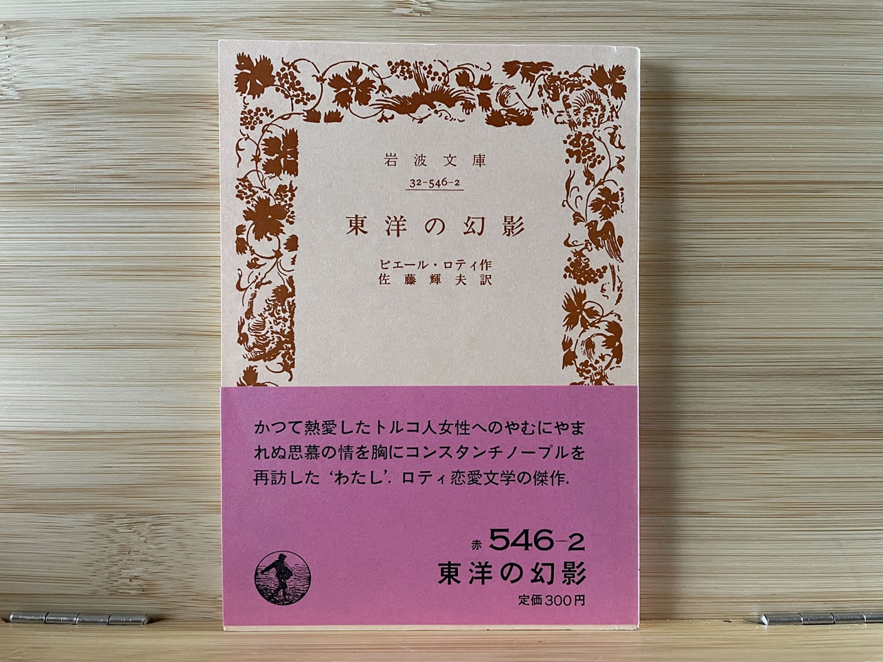 ピエール・ロティ『東洋の幻影』