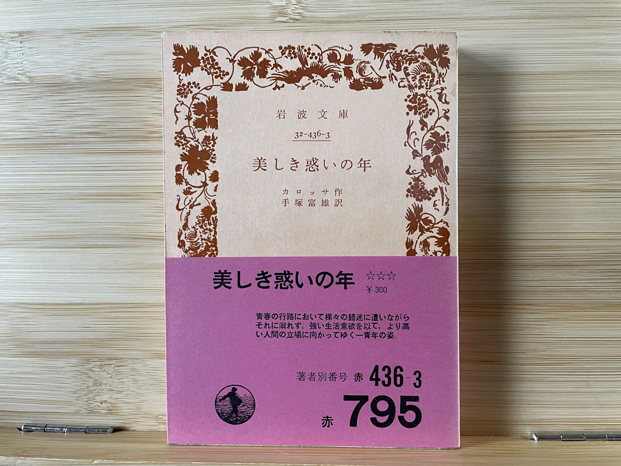 カロッサ『美しき惑いの年』